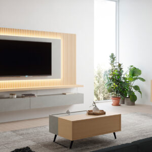 Ambiente 29 LR