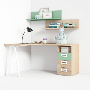 Zona estudio_03