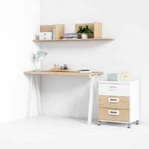 Zona estudio_04