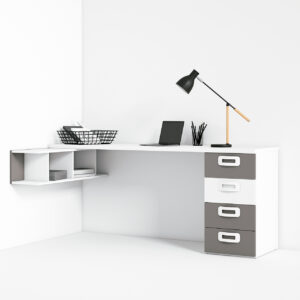 Zona estudio_05